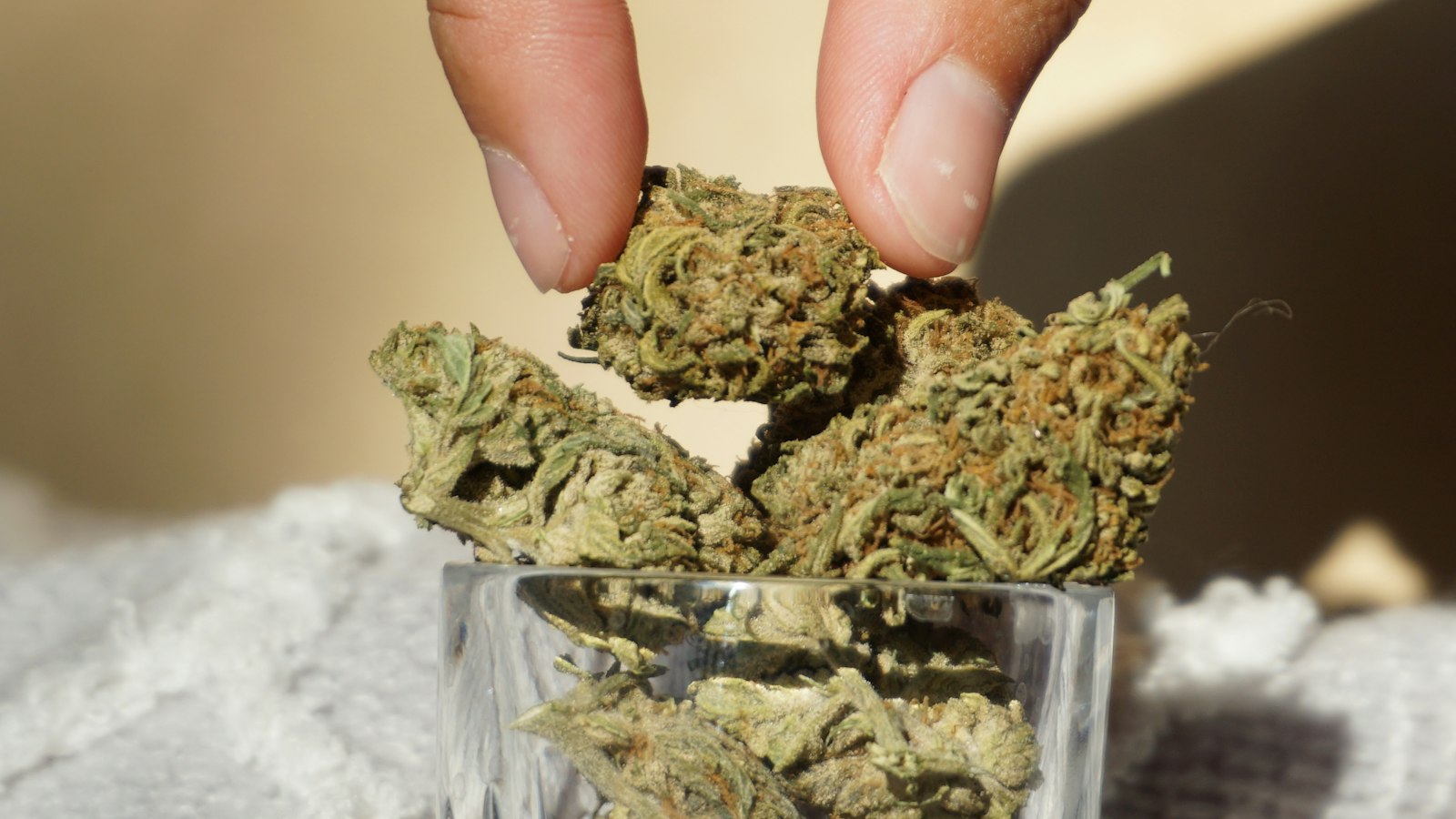 Cannabis und Alkohol: eine gefährliche Kombination? Fakten 2026