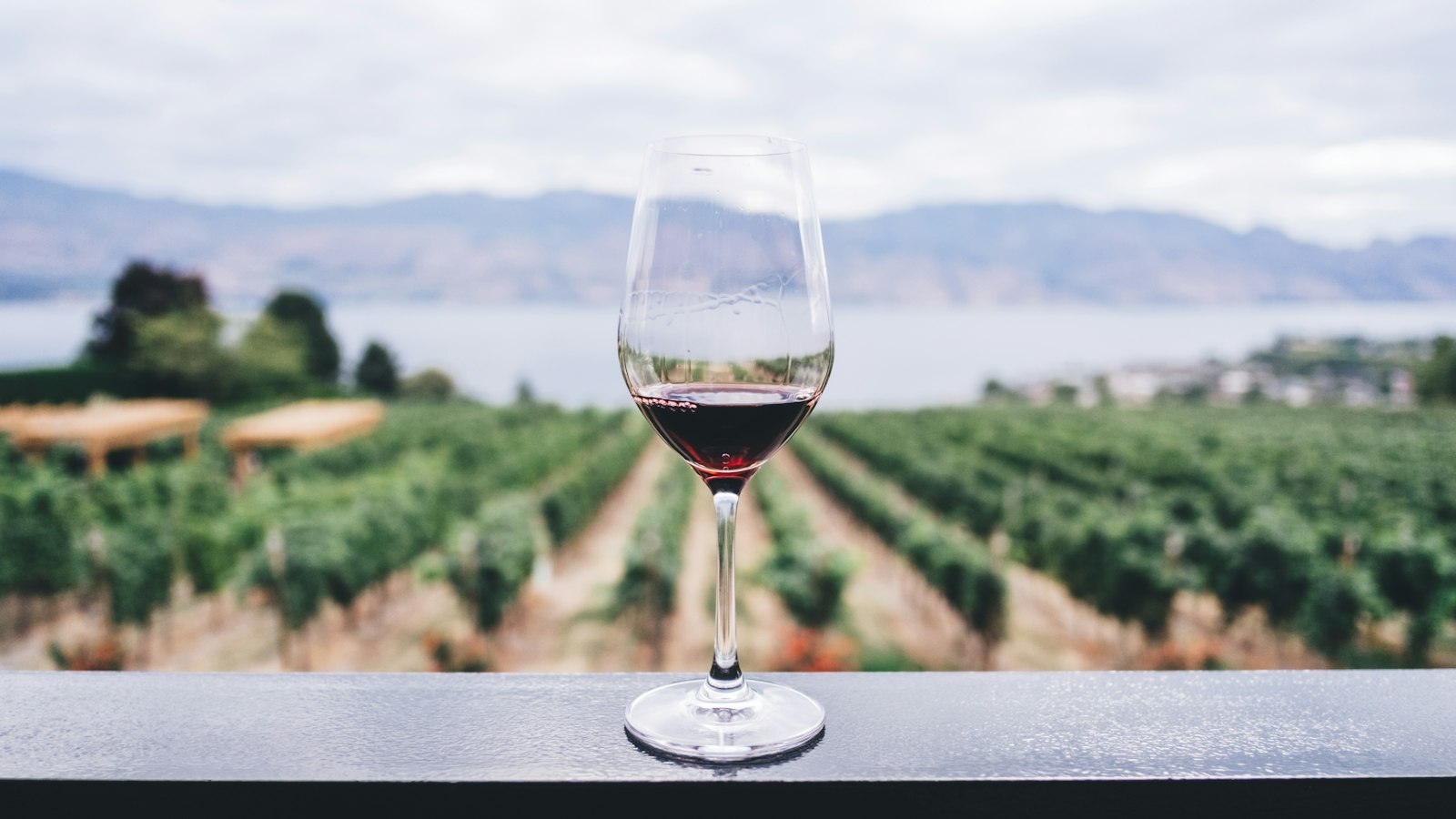 Wein und Genuss: Der perfekte Weingenuss im Alltag