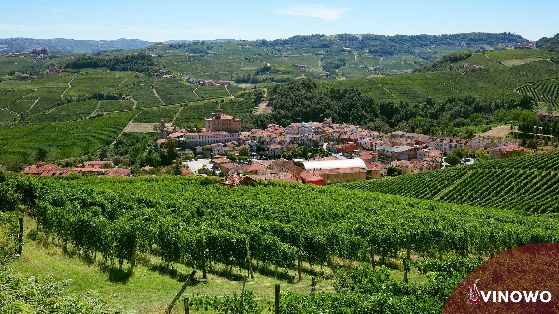 Barolo Rotwein: Trockener Cosmopolit aus Italien