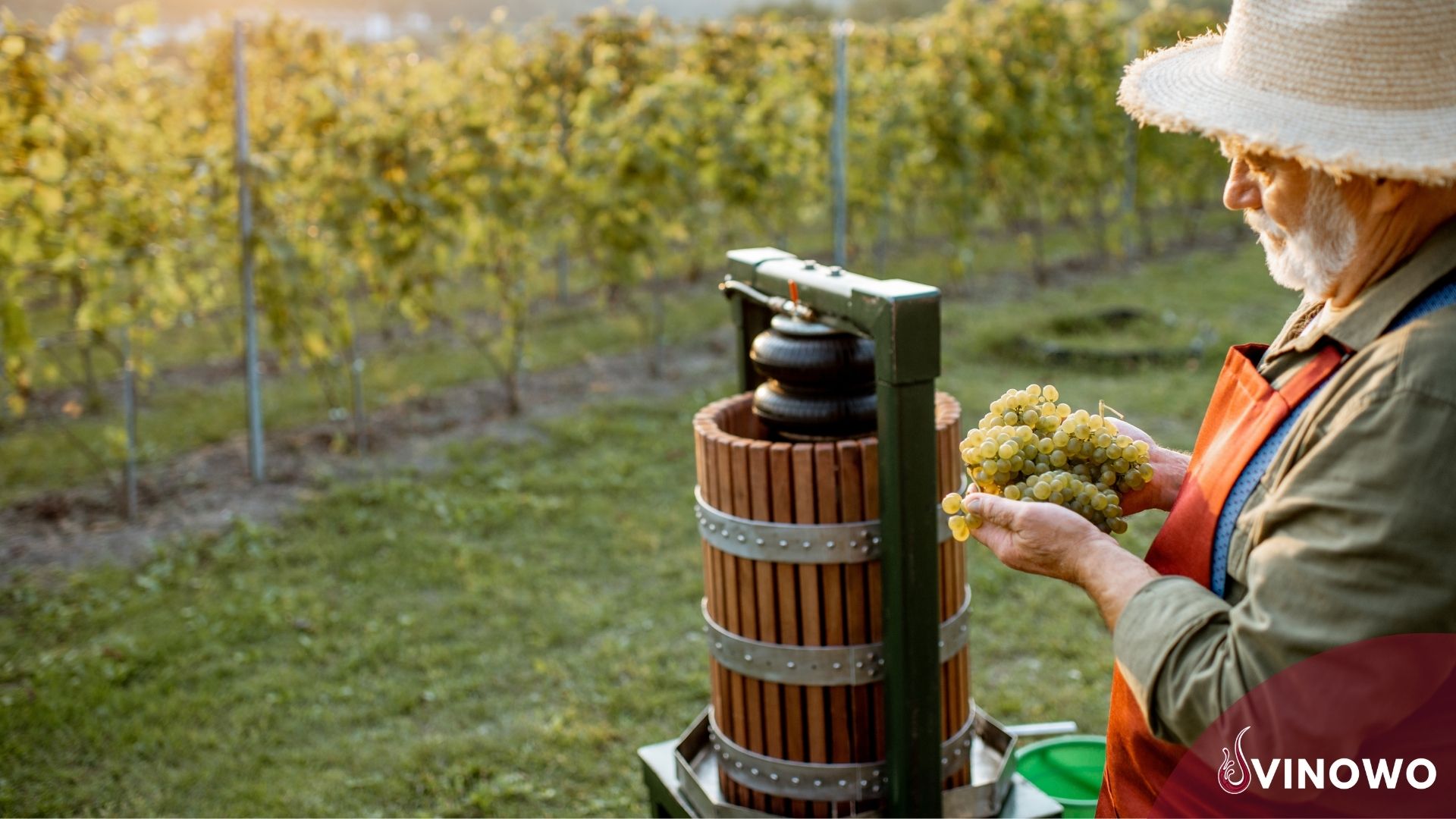 Den eigenen Wein herstellen, leichter als gedacht!