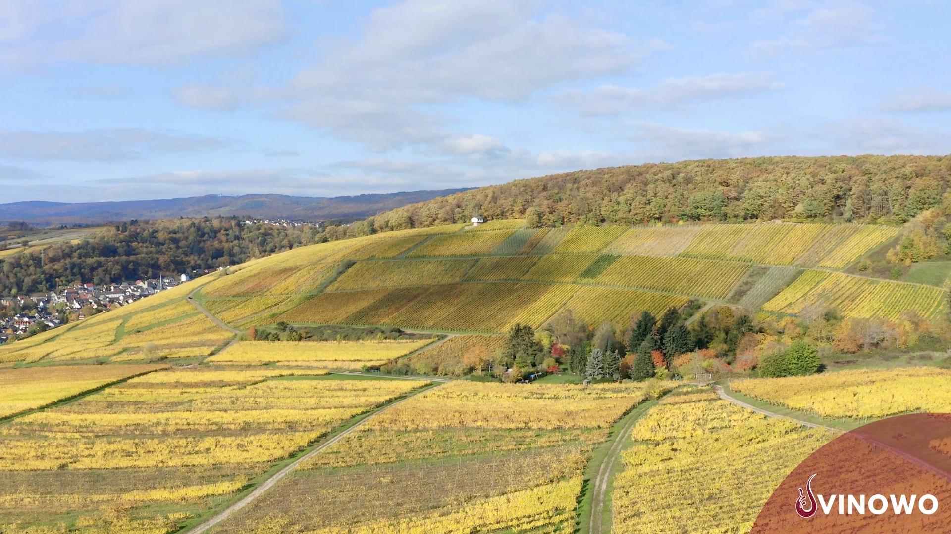 Der Rheingau – Wissenswertes zum weltbekannten Weinanbaugebiet