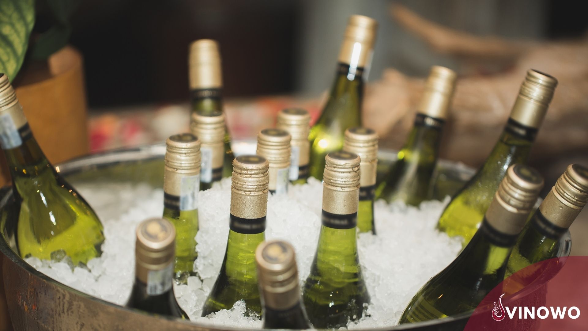 Kann man Wein einfrieren?
