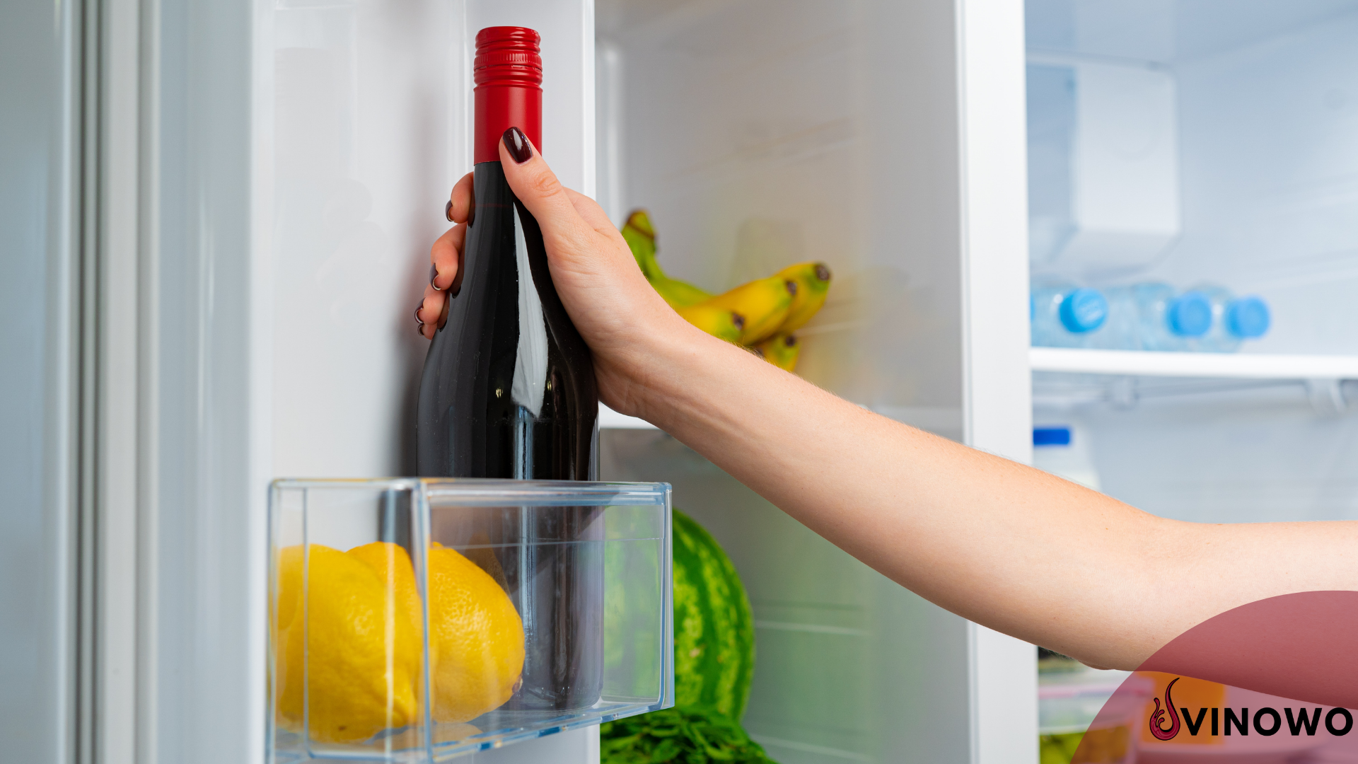 Rotwein Kühlschrank: gehört Wein in den Kühlschrank?