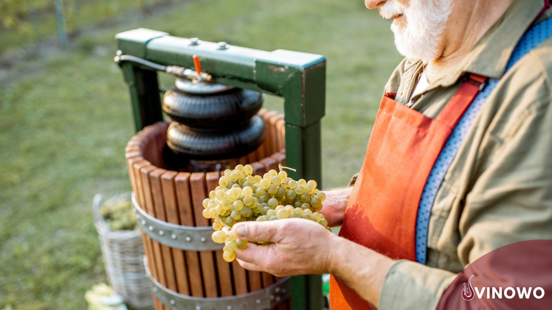Wein selber machen: einfache Schritt-für-Schritt Anleitung