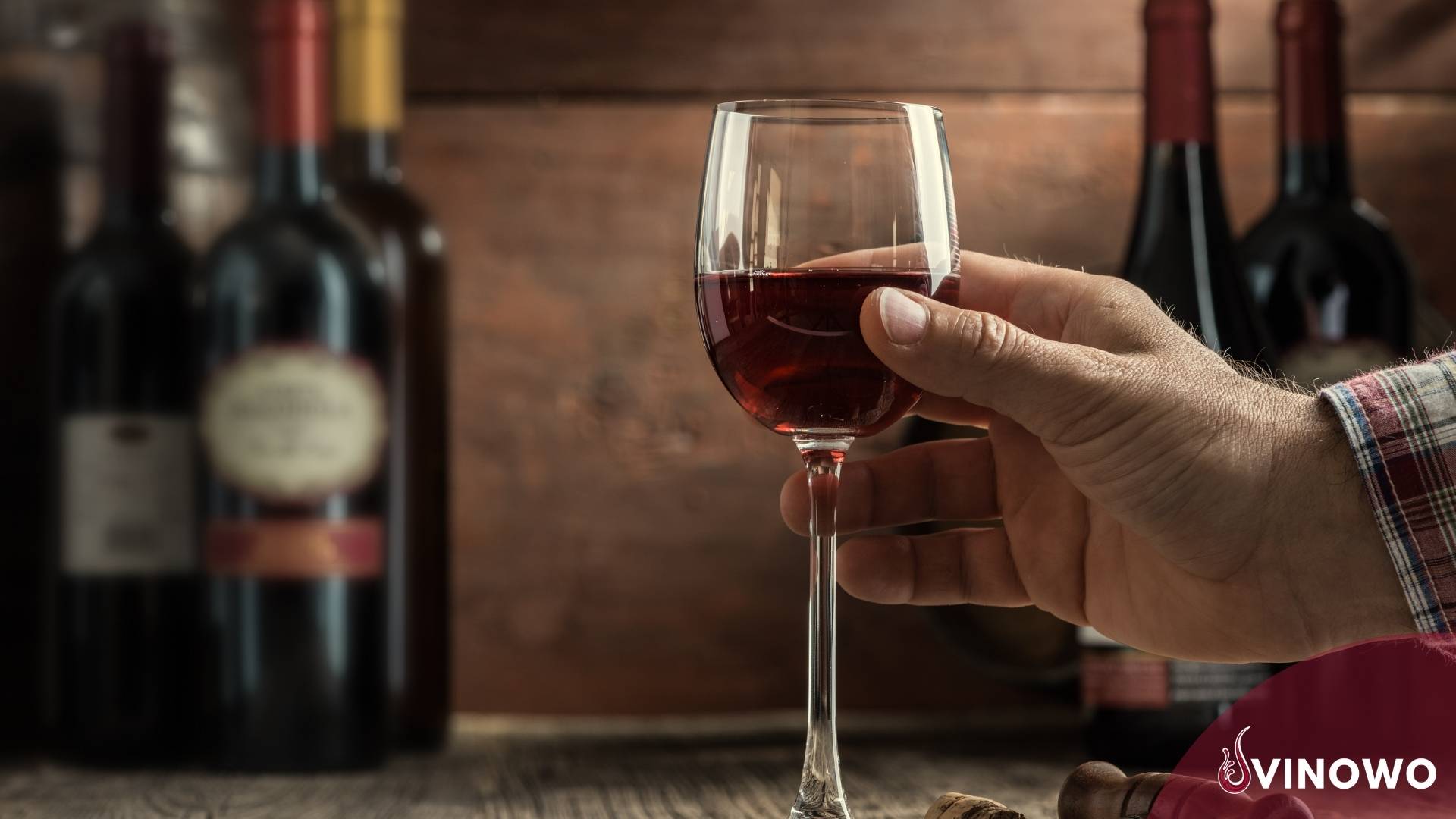 Wein Wörterbuch: mit Verkostungsbegriffen
