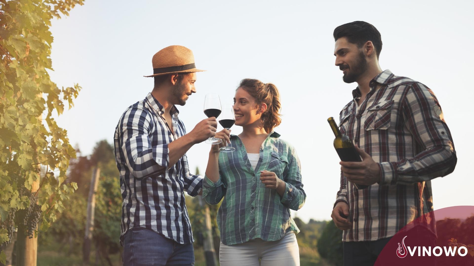 Weinprobe – lernen wie man Wein richtig genießt