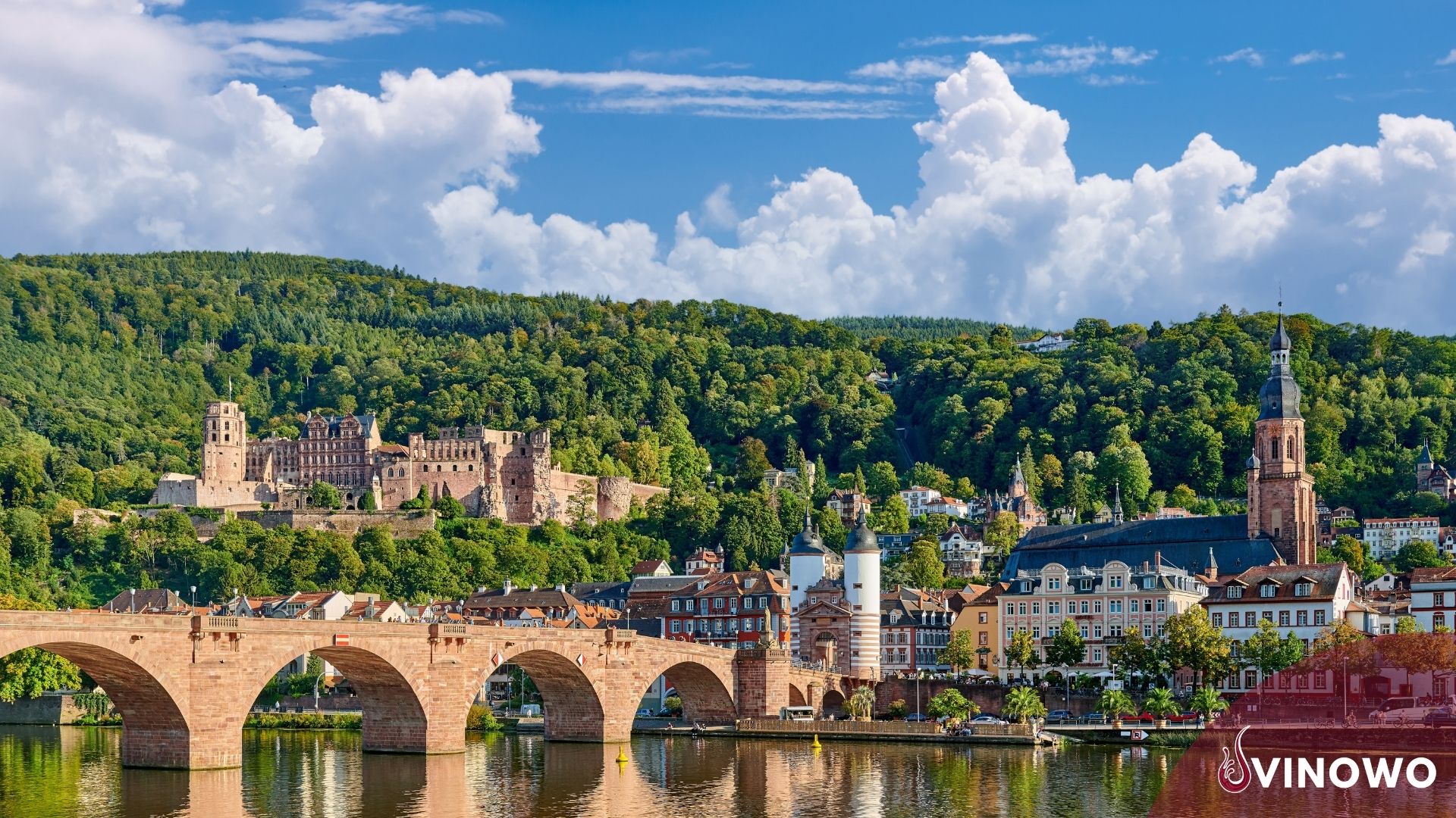 Wine Tasting in der Pfalz “Schloss Wachtenburg”