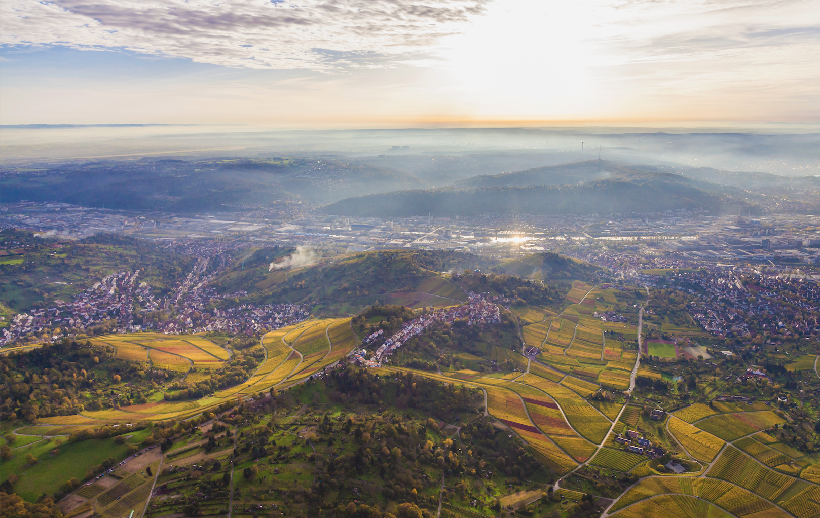 Württemberg: Region, Weine, Winzer + Tipps zum Entdecken