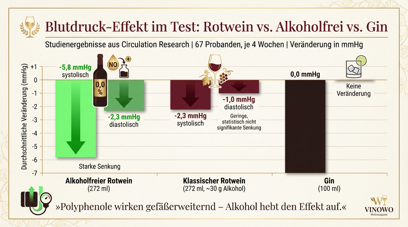 Infografik: Blutdruck-Effekt im Test: Rotwein vs. Alkoholfrei vs. Gin