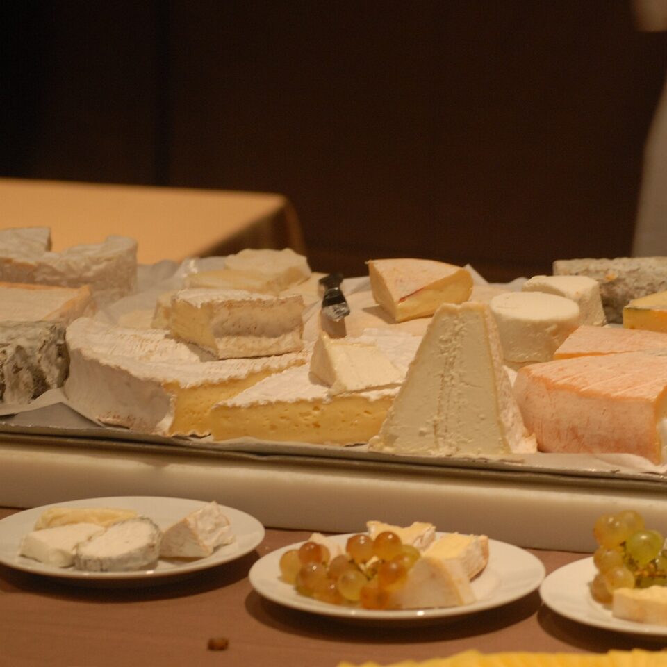 Welcher Wein zu Käse? Die besten Wein-Käse-Kombinationen einfach erklärt