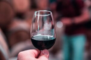 Top 5 Gründe für Wein aus Südafrika, Entdecke die Vielfalt
