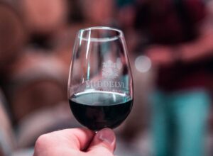 Top 5 Gründe für Wein aus Südafrika, Entdecke die Vielfalt