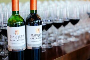 Die besten chilenischen Weine: 7 Labels, die immer beeindrucken