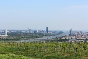 Ahr Weinregion: Der aufstrebende Stern deutscher Weingüter