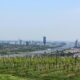 Ahr Weinregion: Der aufstrebende Stern deutscher Weingüter