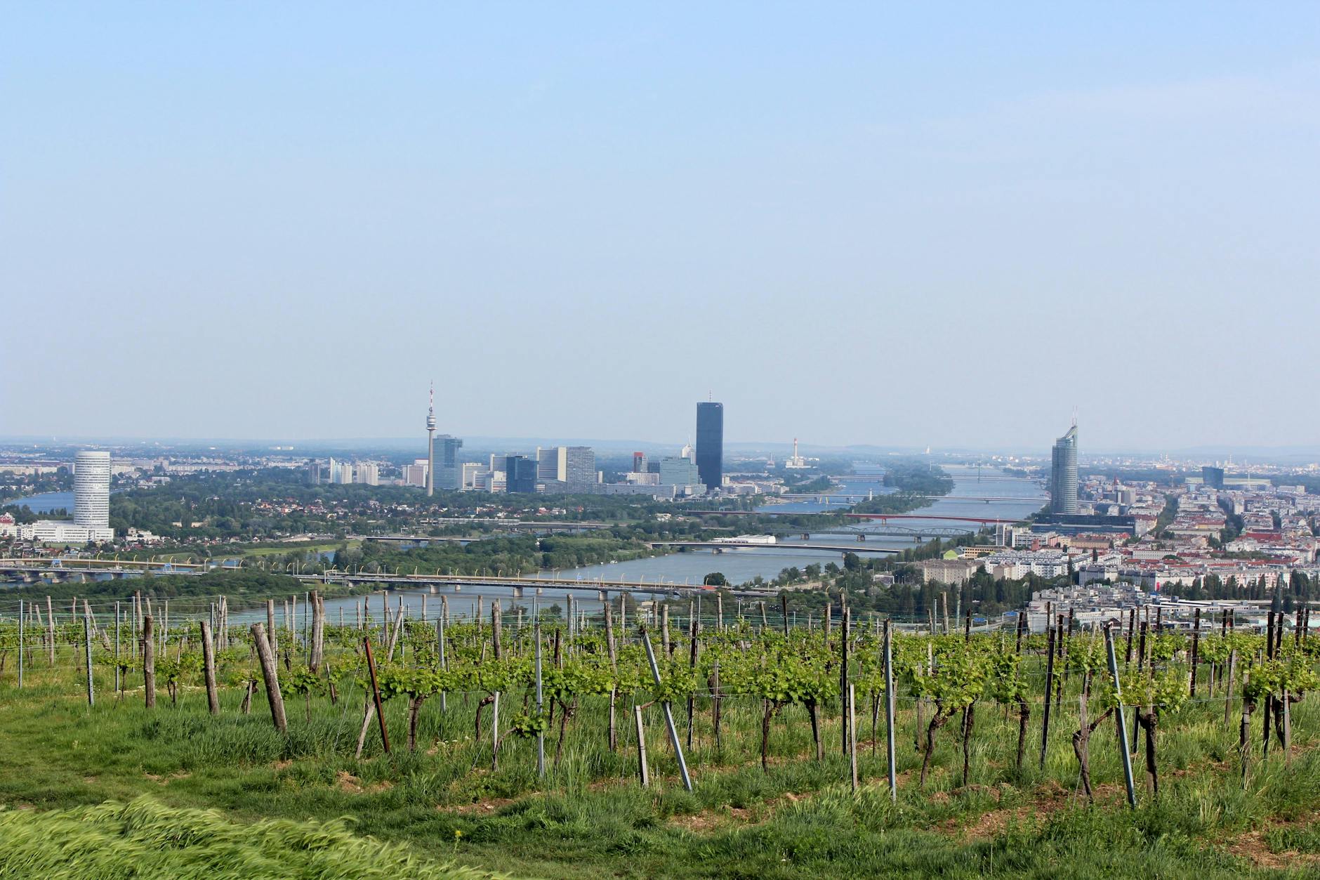 Ahr Weinregion: Der aufstrebende Stern deutscher Weingüter