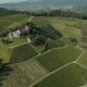 Baden Weinanbaugebiet: Geheimtipp für Weinliebhaber