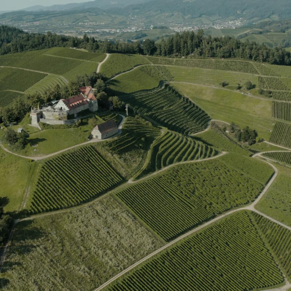 Baden Weinanbaugebiet: Geheimtipp für Weinliebhaber