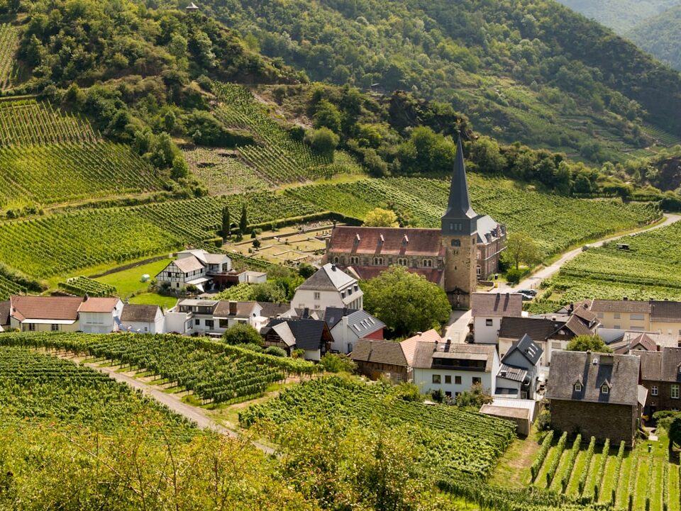 Top 5 Gründe, Mosel Wein diese Saison zu lieben