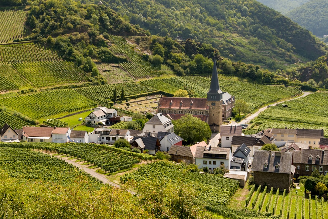 Top 5 Gründe, Mosel Wein diese Saison zu lieben