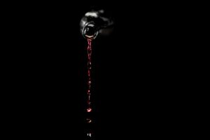 8 Essential Zinfandel Wines for Every Collector