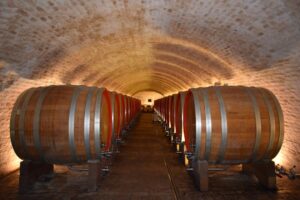 Was macht Saale-Unstrut Wein im Markt besonders?