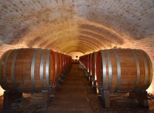 Was macht Saale-Unstrut Wein im Markt besonders?