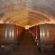 Was macht Saale-Unstrut Wein im Markt besonders?