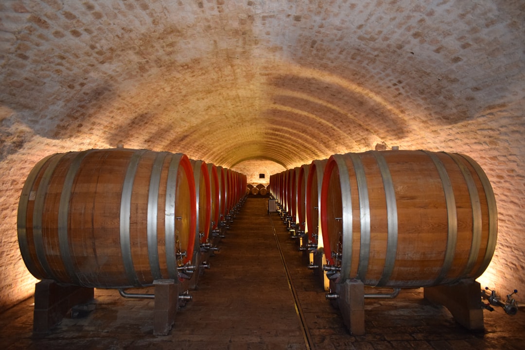 Was macht Saale-Unstrut Wein im Markt besonders?