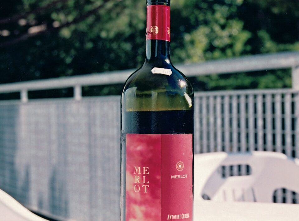 Merlot Rebsorte vs. andere Rotweine: Die Unterschiede