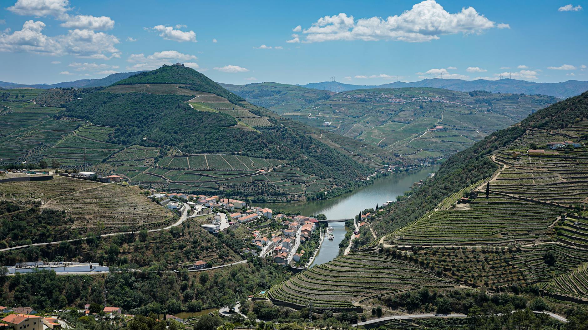 Scenic aerial view of Douro Valley vineyards and river, Portugal's wine region.