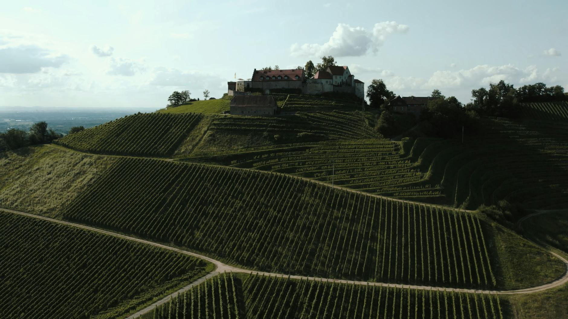 Stunning drone view of Schloss Staufenberg surrounded by lush vineyards in Germany.