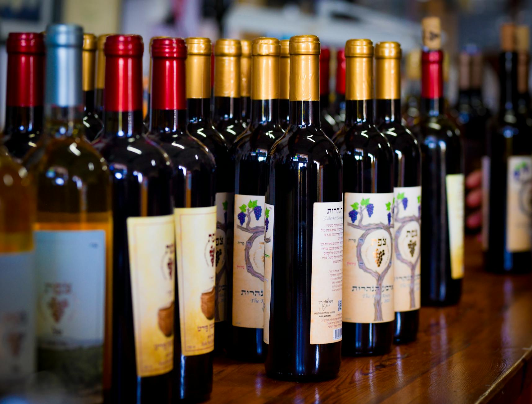 Close-up of assorted wine bottles on display at a winery showcasing various labels and colors.