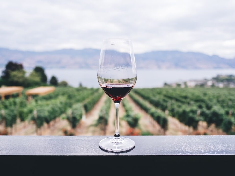Weinlese Zeitpunkt: Wann sind die Trauben wirklich reif?
