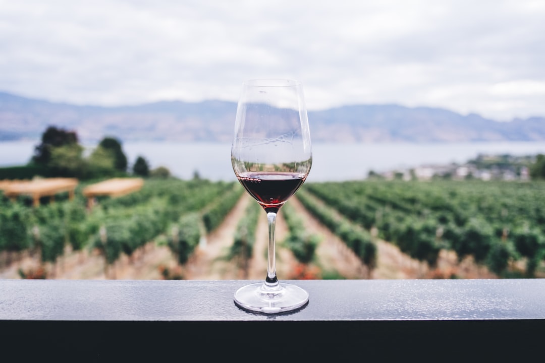 Weinlese Zeitpunkt: Wann sind die Trauben wirklich reif?